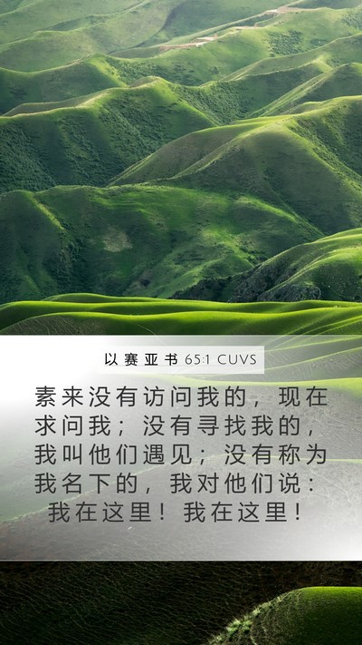 以 赛 亚 书 65:1 CUVS Mobile Phone Wallpaper - 素 来 没 有 访 问 我 的 ， 现 在 求 - Mobile Bible Verse Wallpaper
