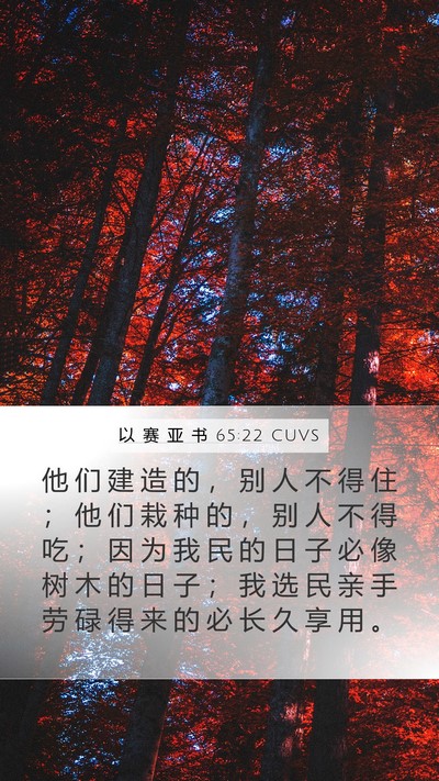 以 赛 亚 书 65:22 CUVS Bible Verse Image