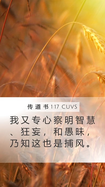 传 道 书 1:17 CUVS Bible Verse Image