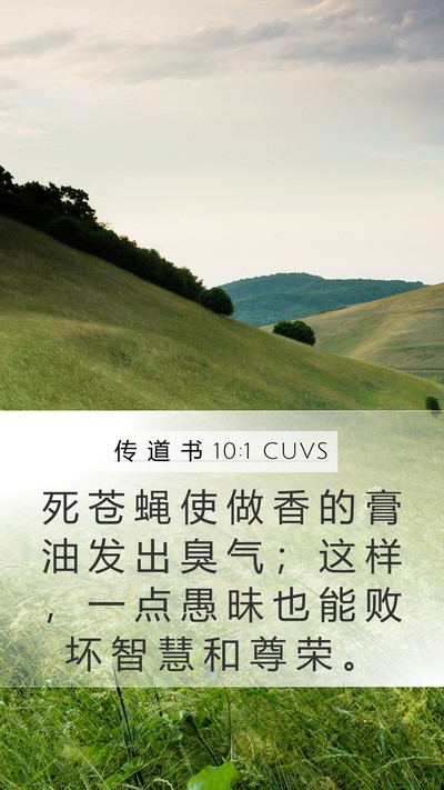 传 道 书 10:1 CUVS Mobile Phone Wallpaper - 死 苍 蝇 使 做 香 的 膏 油 发 出 臭 - Mobile Bible Verse Wallpaper