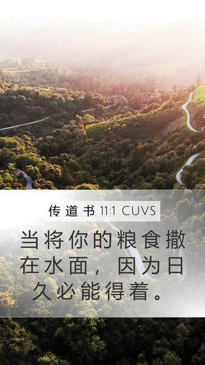 传 道 书 11:1 CUVS Mobile Phone Wallpaper - 当 将 你 的 粮 食 撒 在 水 面 ， 因 - Mobile Bible Verse Wallpaper