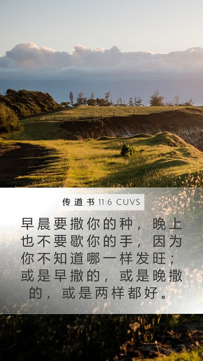 传 道 书 11:6 CUVS Bible Verse Image