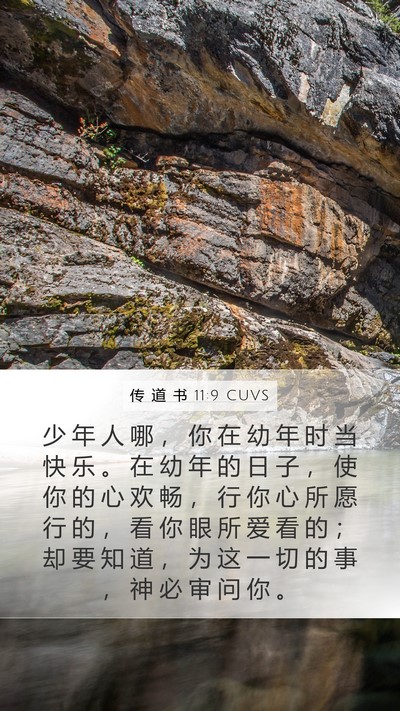 传 道 书 11:9 CUVS Bible Verse Image