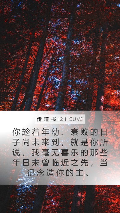 传 道 书 12:1 CUVS Bible Verse Image