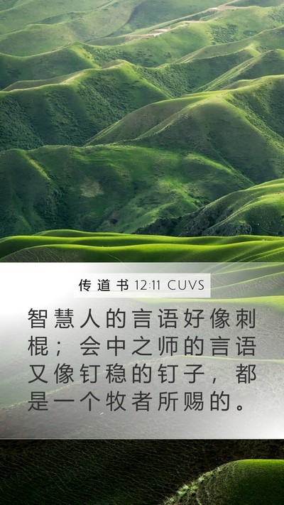 传 道 书 12:11 CUVS Bible Verse Image