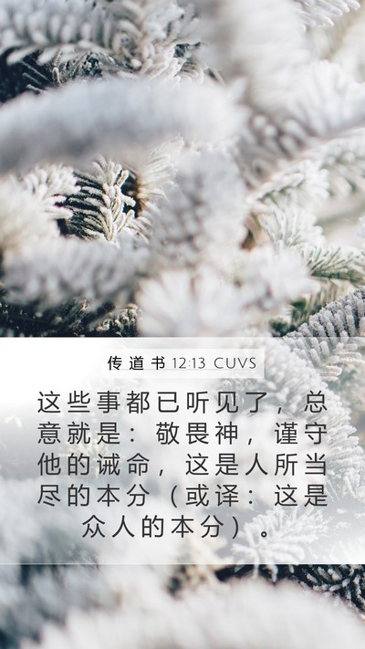 传 道 书 12:13 CUVS Bible Verse Image