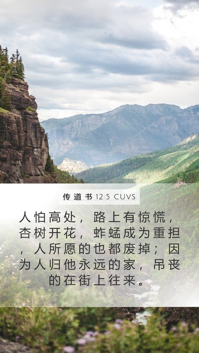 传 道 书 12:5 CUVS Bible Verse Image