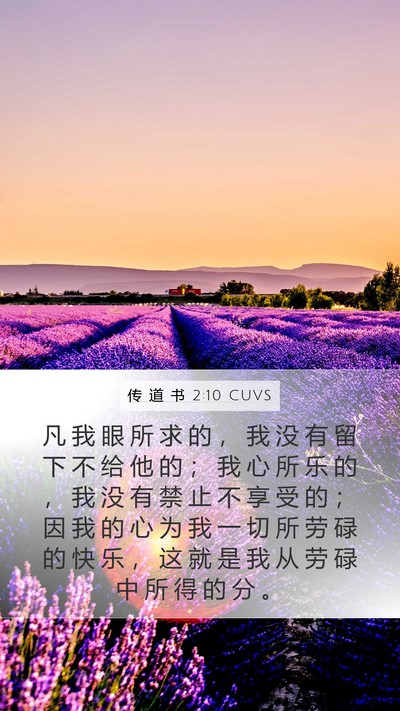 传 道 书 2:10 CUVS Bible Verse Image
