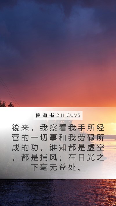 传 道 书 2:11 CUVS Bible Verse Image