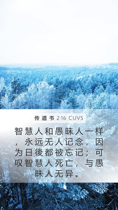 传 道 书 2:16 CUVS Bible Verse Image