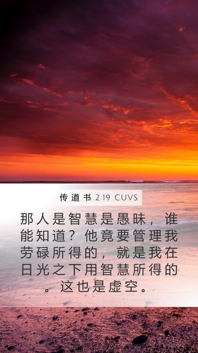 传 道 书 2:19 CUVS Bible Verse Image