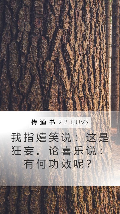 传 道 书 2:2 CUVS Mobile Phone Wallpaper - 我 指 嬉 笑 说 ： 这 是 狂 妄 。 论 - Mobile Bible Verse Wallpaper