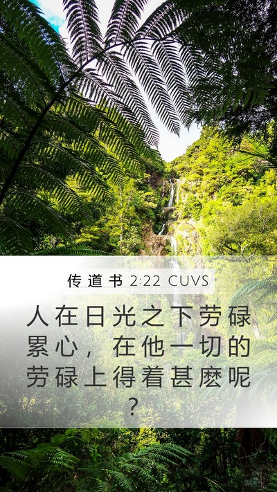 传 道 书 2:22 CUVS Bible Verse Image