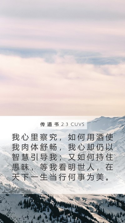 传 道 书 2:3 CUVS Bible Verse Image