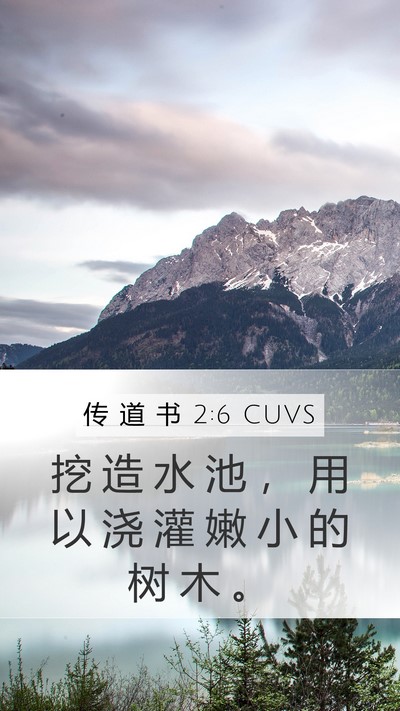 传 道 书 2:6 CUVS Bible Verse Image