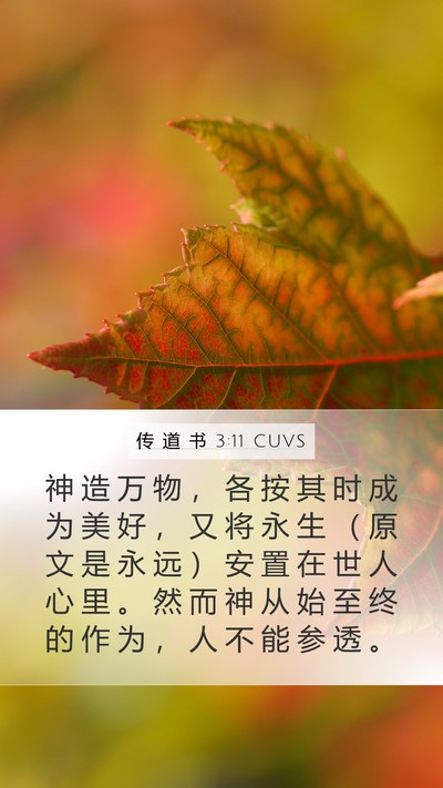 传 道 书 3:11 CUVS Bible Verse Image