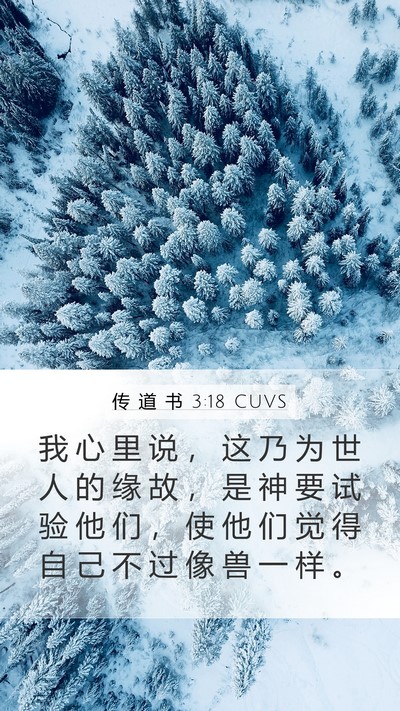 传 道 书 3:18 CUVS Mobile Phone Wallpaper - 我 心 里 说 ， 这 乃 为 世 人 的 缘 - Mobile Bible Verse Wallpaper