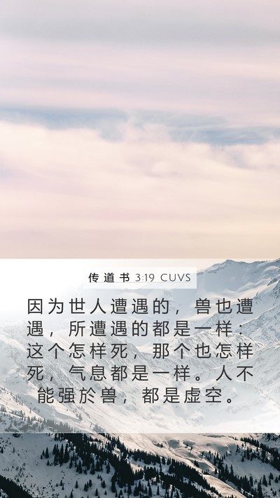 传 道 书 3:19 CUVS Bible Verse Image