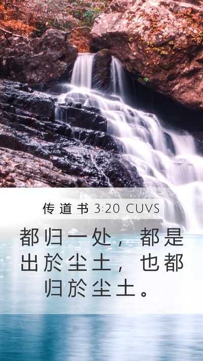 传 道 书 3:20 CUVS Bible Verse Image