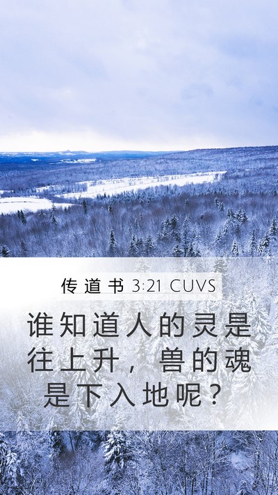 传 道 书 3:21 CUVS Bible Verse Image