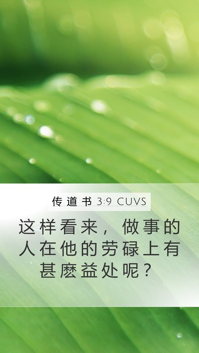 传 道 书 3:9 CUVS Bible Verse Image