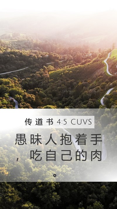 传 道 书 4:5 CUVS Bible Verse Image