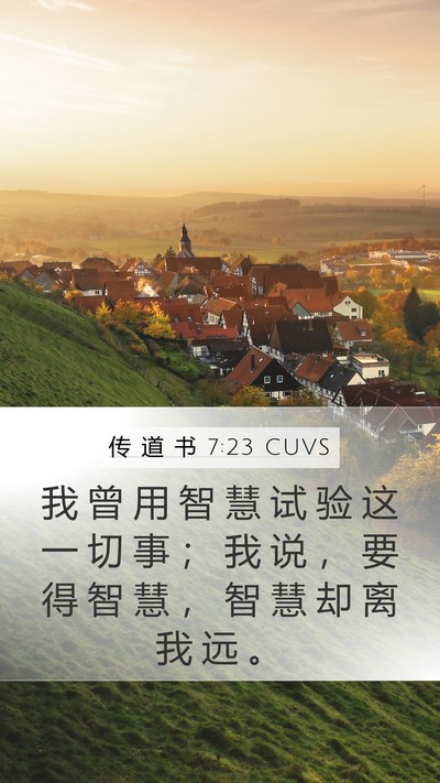 传 道 书 7:23 CUVS Bible Verse Image