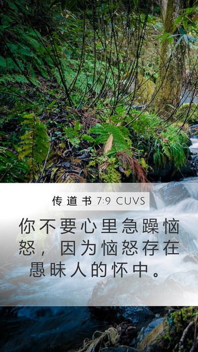传 道 书 7:9 CUVS Bible Verse Image