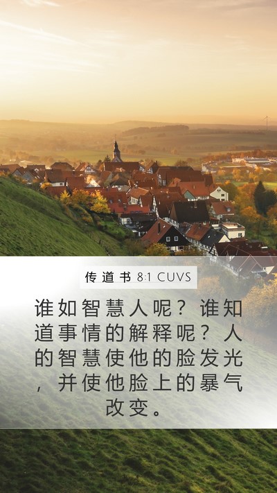 传 道 书 8:1 CUVS Mobile Phone Wallpaper - 谁 如 智 慧 人 呢 ？ 谁 知 道 事 情 - Mobile Bible Verse Wallpaper