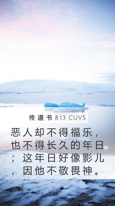传 道 书 8:13 CUVS Bible Verse Image