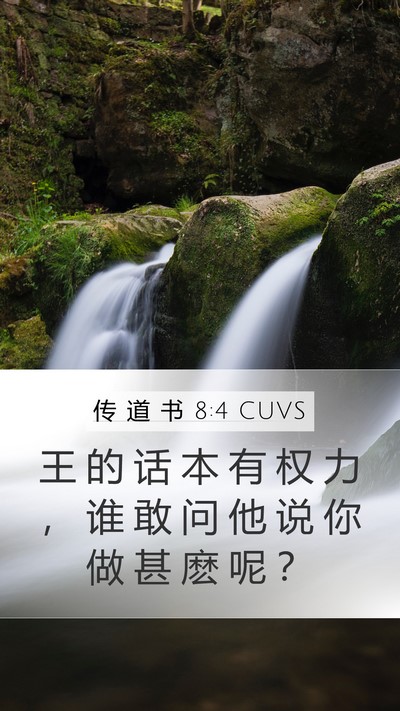 传 道 书 8:4 CUVS Bible Verse Image