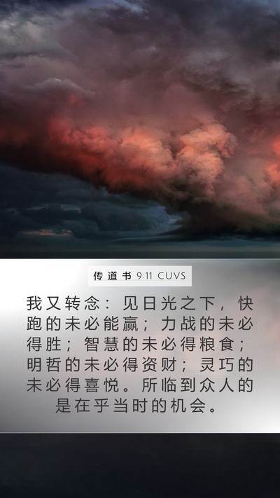 传 道 书 9:11 CUVS Bible Verse Image