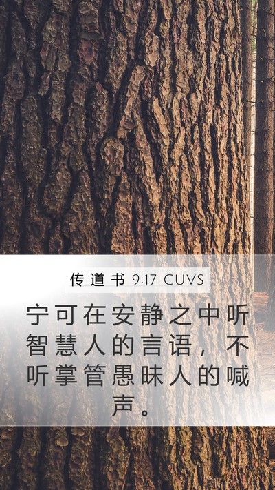 传 道 书 9:17 CUVS Mobile Phone Wallpaper - 宁 可 在 安 静 之 中 听 智 慧 人 的 - Mobile Bible Verse Wallpaper