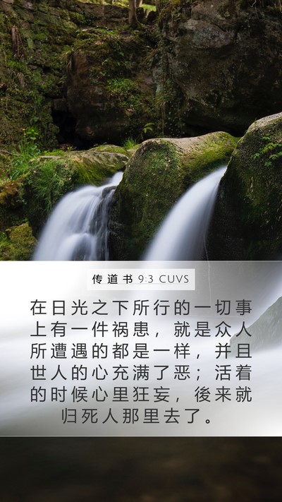 传 道 书 9:3 CUVS Bible Verse Image