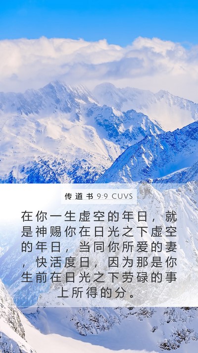 传 道 书 9:9 CUVS Bible Verse Image