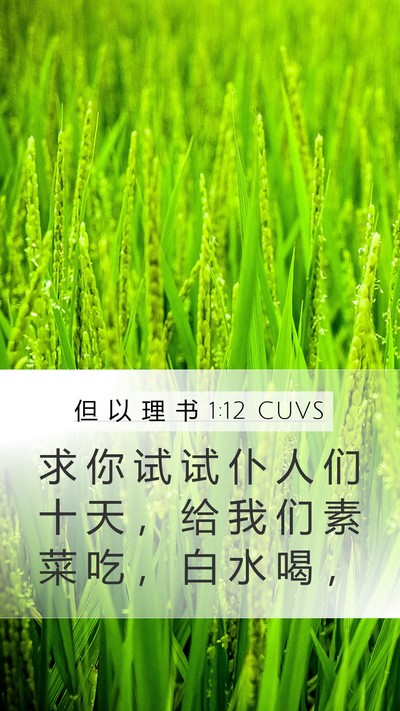 但 以 理 书 1:12 CUVS Mobile Phone Wallpaper - 求 你 试 试 仆 人 们 十 天 ， 给 我 - Mobile Bible Verse Wallpaper