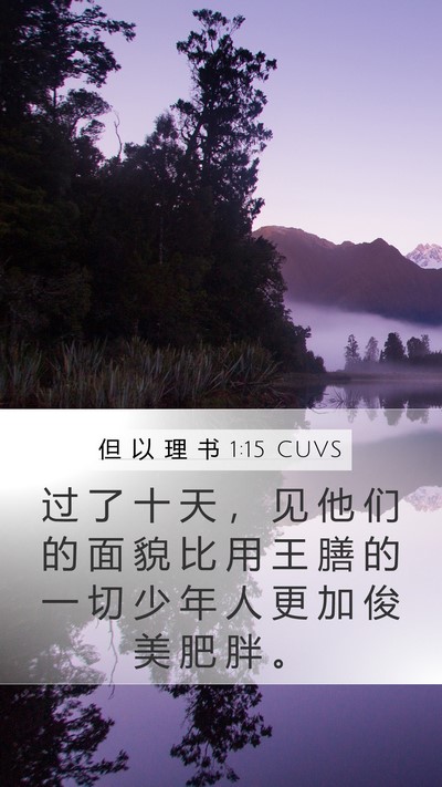 但 以 理 书 1:15 CUVS Mobile Phone Wallpaper - 过 了 十 天 ， 见 他 们 的 面 貌 比 - Mobile Bible Verse Wallpaper