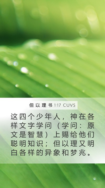 但 以 理 书 1:17 CUVS Bible Verse Image