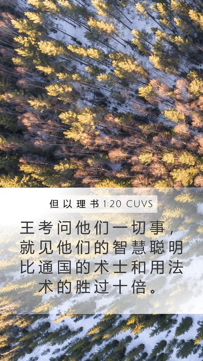 但 以 理 书 1:20 CUVS Mobile Phone Wallpaper - 王 考 问 他 们 一 切 事 ， 就 见 他 - Mobile Bible Verse Wallpaper