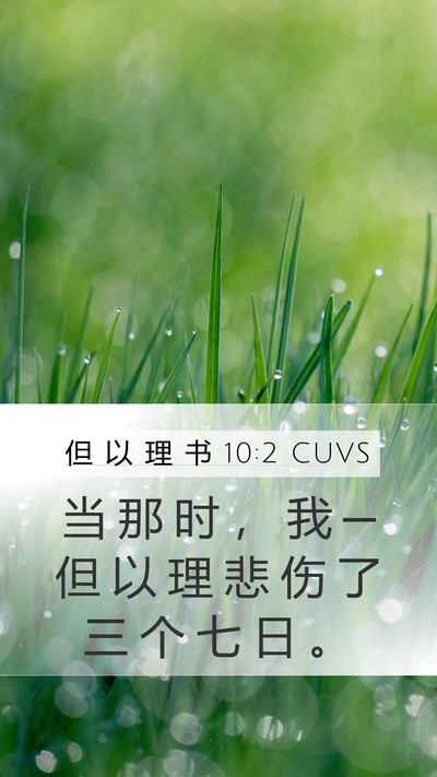 但 以 理 书 10:2 CUVS Mobile Phone Wallpaper - 当 那 时 ， 我 ─ 但 以 理 悲 伤 了 - Mobile Bible Verse Wallpaper