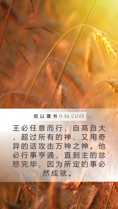 但 以 理 书 11:36 CUVS Mobile Phone Wallpaper - 王 必 任 意 而 行 ， 自 高 自 大 ， - Mobile Bible Verse Wallpaper