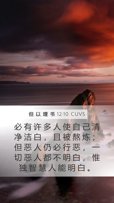 但 以 理 书 12:10 CUVS Bible Verse Image