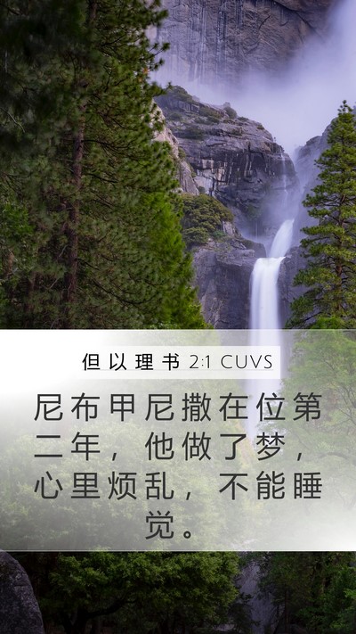 但 以 理 书 2:1 CUVS Bible Verse Image