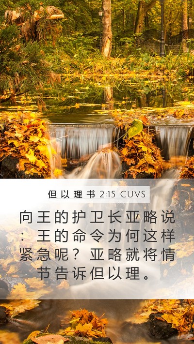 但 以 理 书 2:15 CUVS Bible Verse Image