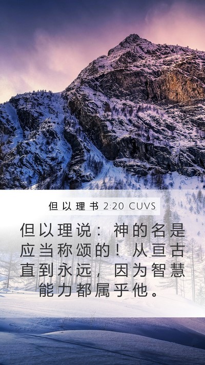 但 以 理 书 2:20 CUVS Bible Verse Image