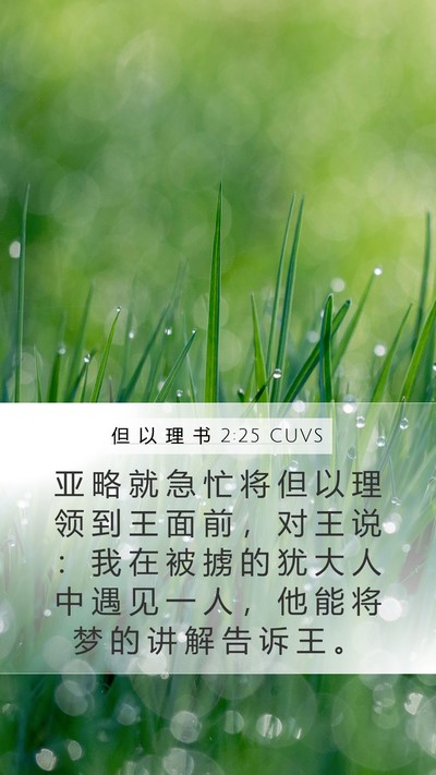 但 以 理 书 2:25 CUVS Bible Verse Image