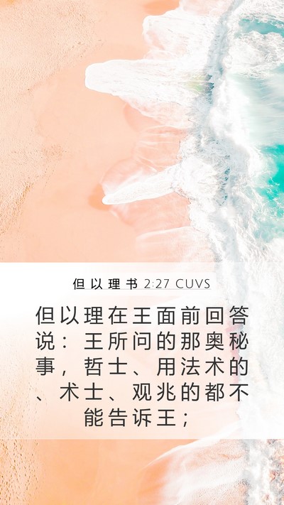 但 以 理 书 2:27 CUVS Bible Verse Image