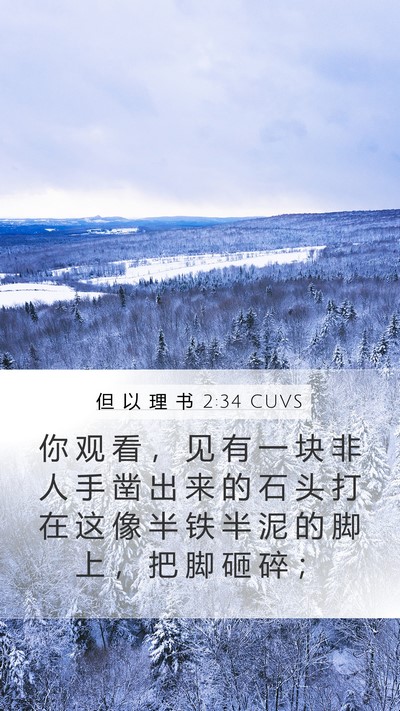 但 以 理 书 2:34 CUVS Bible Verse Image