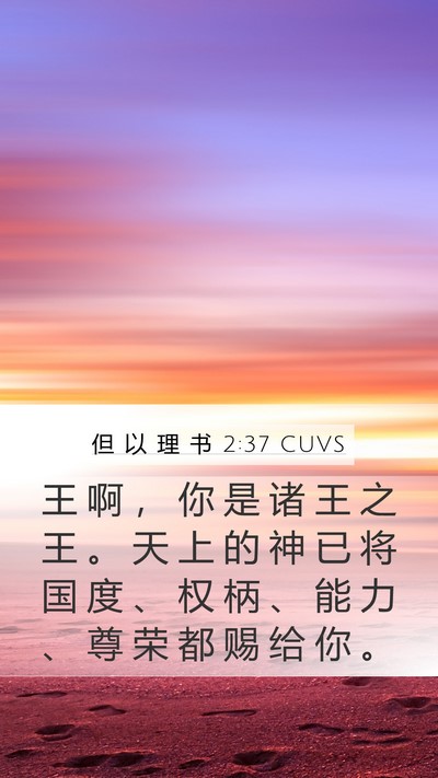 但 以 理 书 2:37 CUVS Bible Verse Image