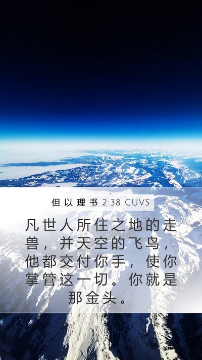 但 以 理 书 2:38 CUVS Bible Verse Image